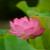 DSC_0366.JPG