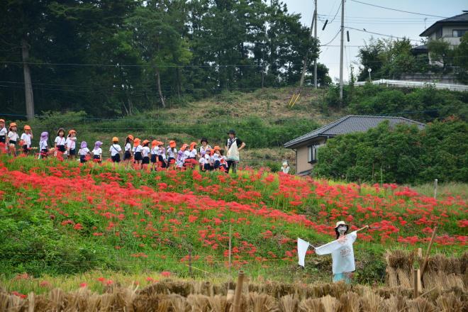 頑張ってみんなで登ってきました