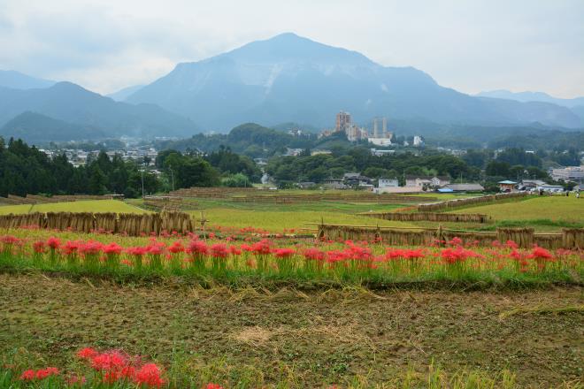 武甲山にご挨拶