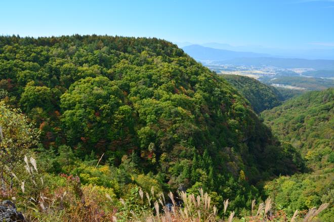 色づき始めた横谷峡谷