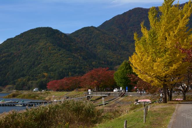 湖畔の彩り