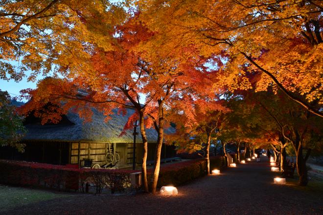 旧武藤家（農家）と紅葉