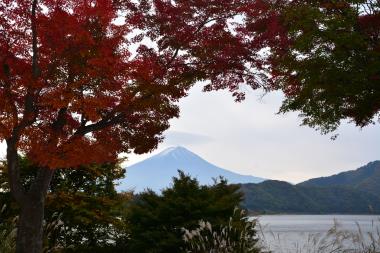 紅葉のトンネル