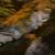 DSC_5814.JPG