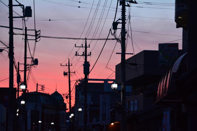 夕陽に照らされて