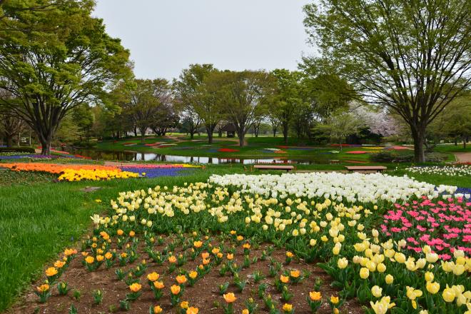 2016年4月10日　渓流広場