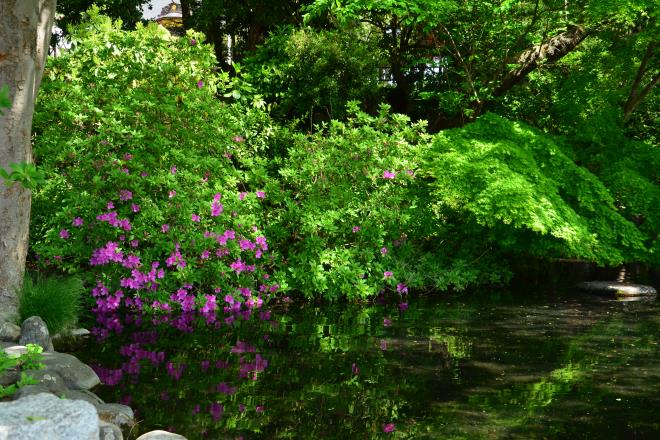 公園内の湧水