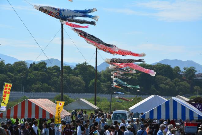 鯉のぼりも気持ちよさそう