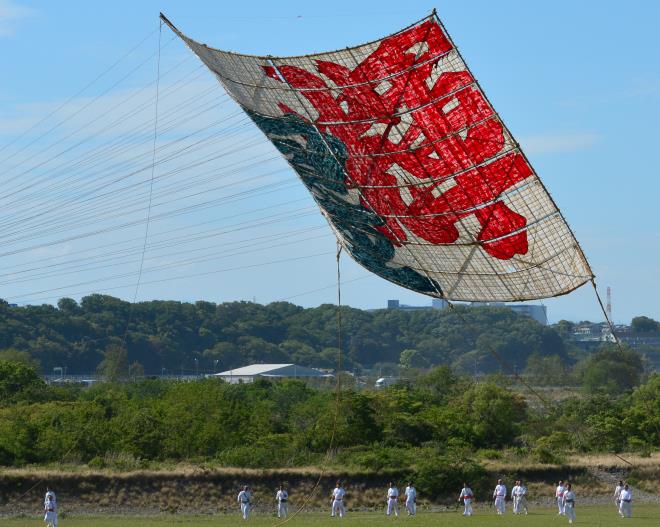 揚がった・・・けれど