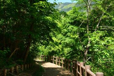 払沢の滝へ