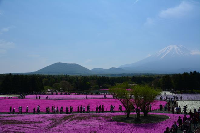 展望台から