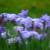 DSC_5004.JPG