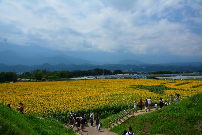 流れ星の花模様