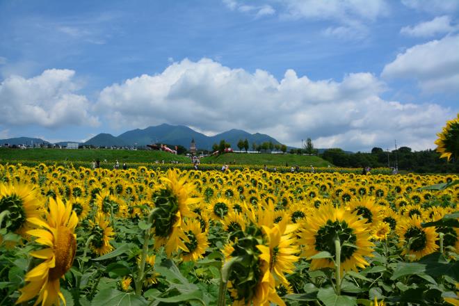 茅ヶ岳がよく見えた