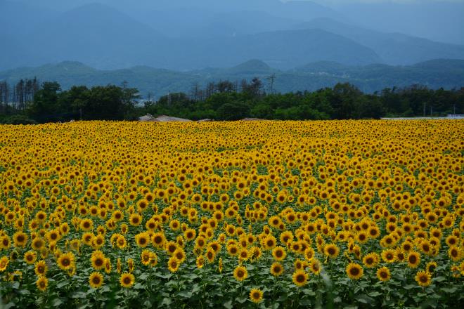 そしていつも見つめてくれる