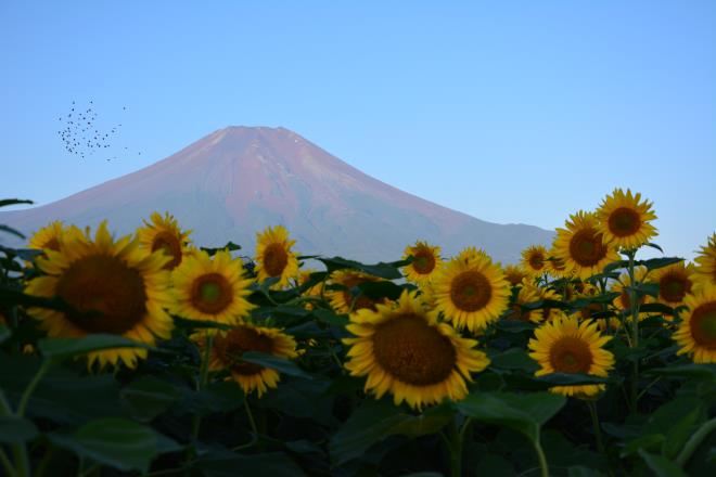 起きなさーーーい