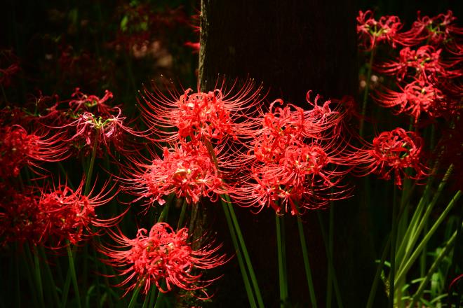 スポットライトを浴びて