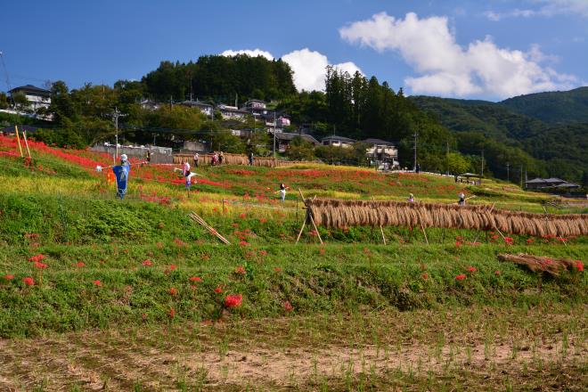 田んぼの守り人達