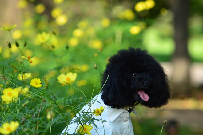 モデルも楽ではありません・・・