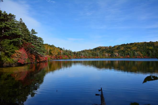 紅葉を映す水鏡