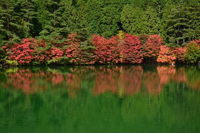シンメトリー（追加です）