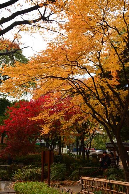 横浜公園