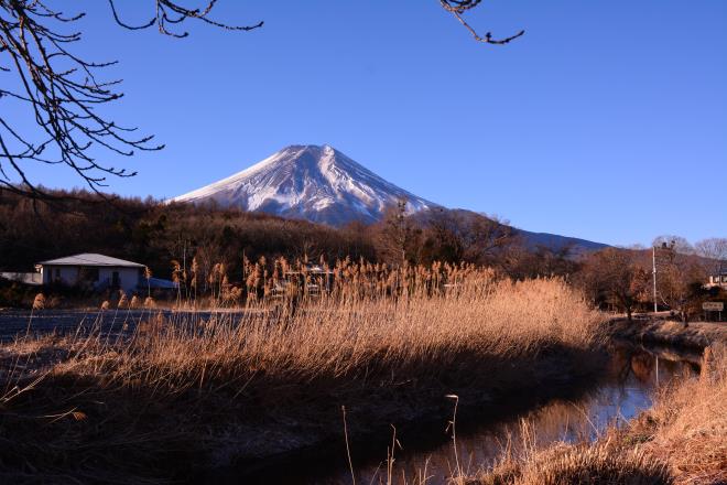 穏やかな日