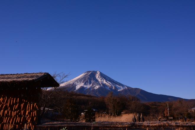 忍野にて