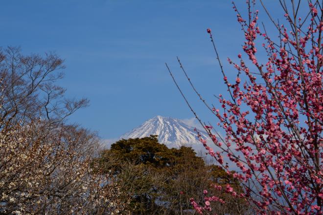 2/20　岩本山公園