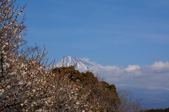 岩本山公園②