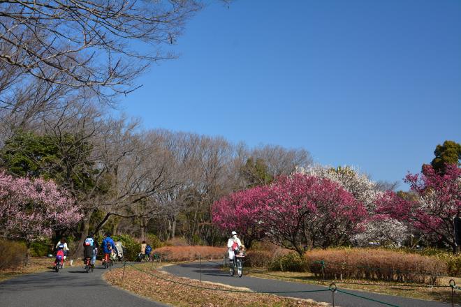 花木園