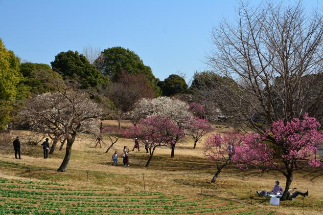 ぽかぽか陽気に誘われて