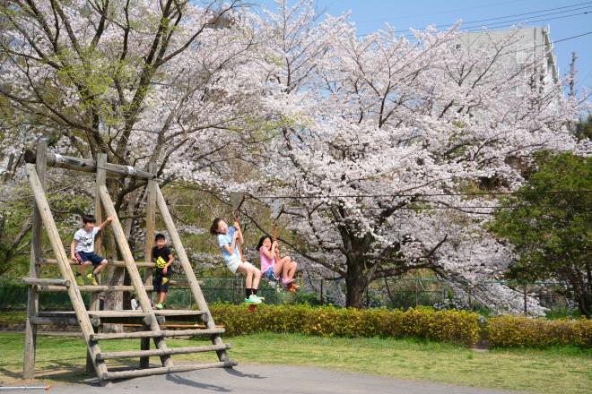 多摩川緑地福生南公園3