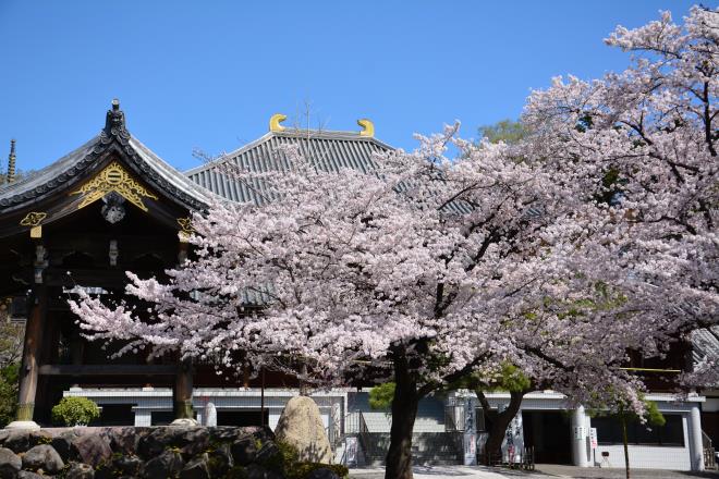 拝島大師