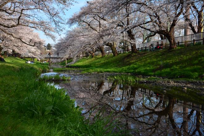 根川遊歩道2-2