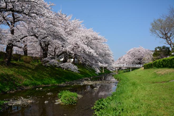 根川遊歩道