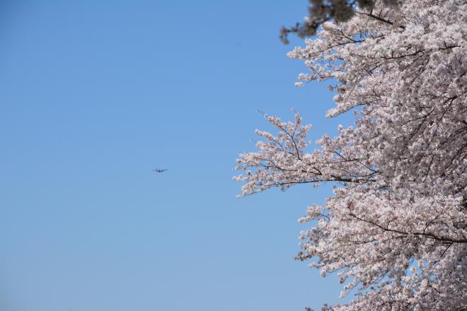 多摩川緑地福生南公園5