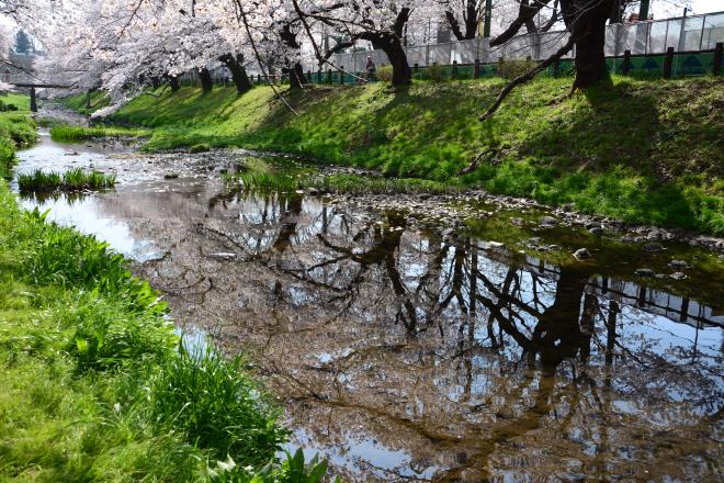 根川遊歩道2-3