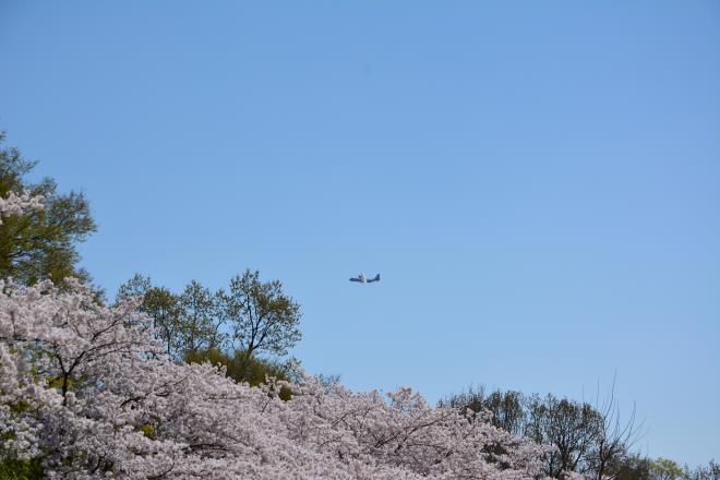 多摩川緑地福生南公園6