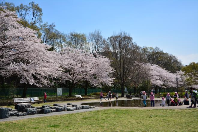 多摩川緑地福生南公園2