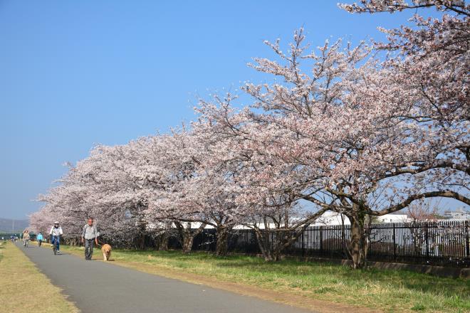 くじら運動公園