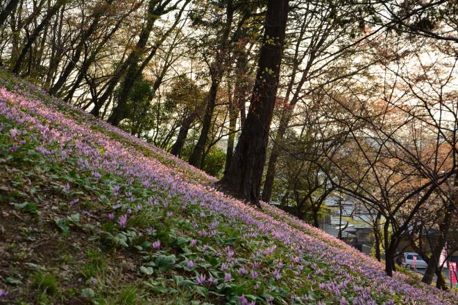 さやま花多来里の郷