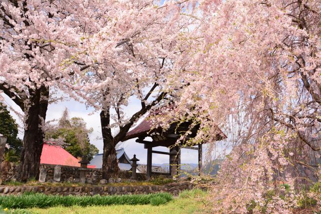 養福寺の五智六尊佛