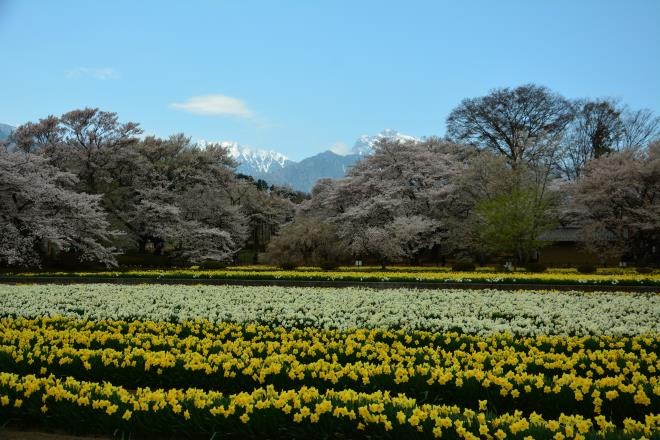 実相寺