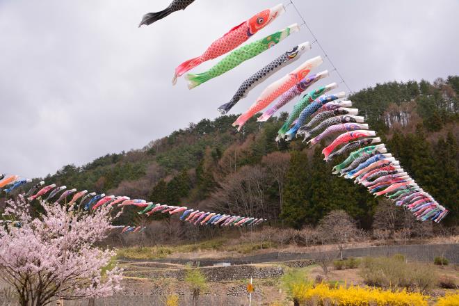 春風に乗って