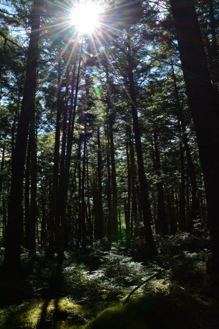 青苔荘へ向かう途中で