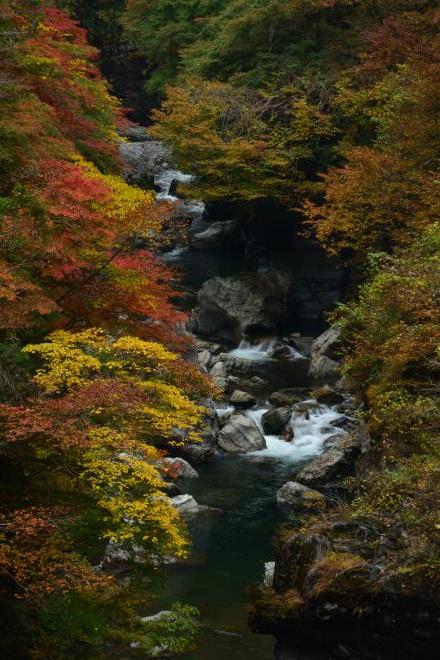 金蔵落しの渓流