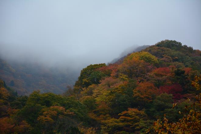 山の上にはガスが