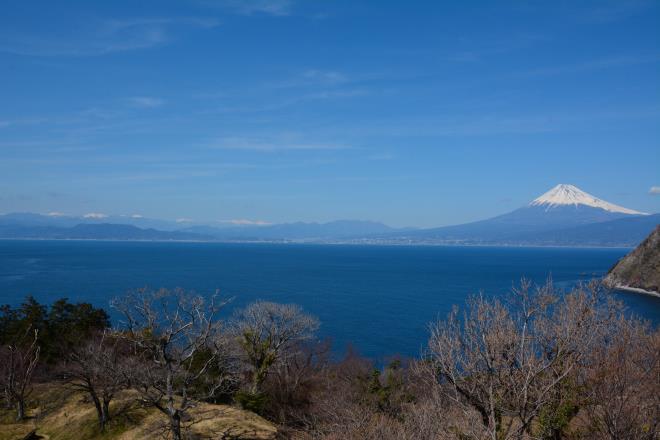 相模原のカメラマンさんへ