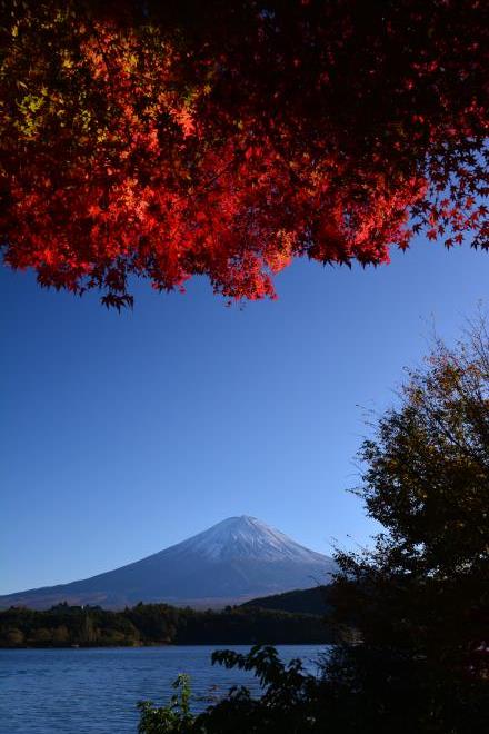 紅葉のトンネル